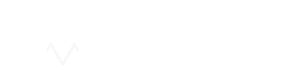 New Vision Media